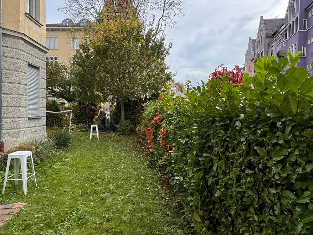 Schmaler Rasenweg zwischen Hecke und Beet an einem Wohnhaus
