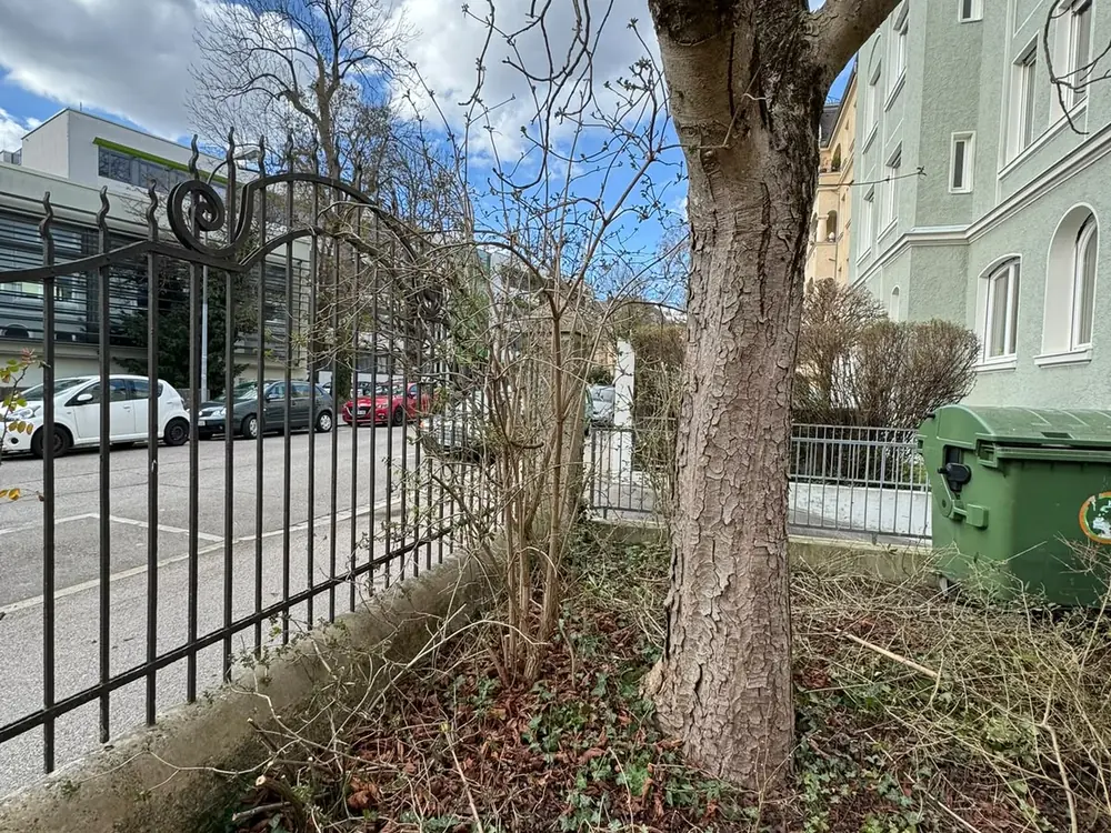 Zugewachsener Grünstreifen an einer Grundstücksgrenze