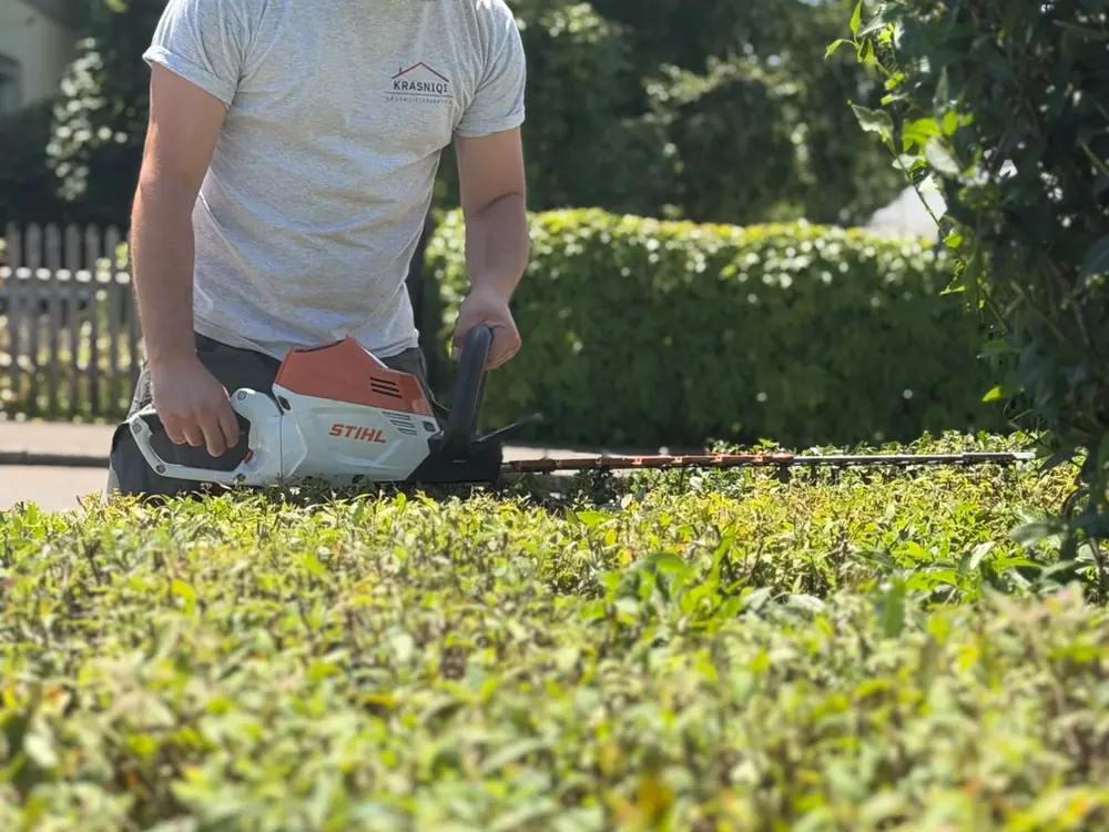 Mitarbeiter schneidet eine niedrige Hecke mit der Heckenschere in Form