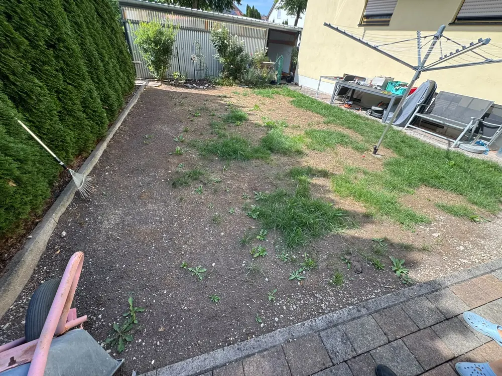 Lückige, verunkrautete Gartenfläche vor Beginn der Arbeiten