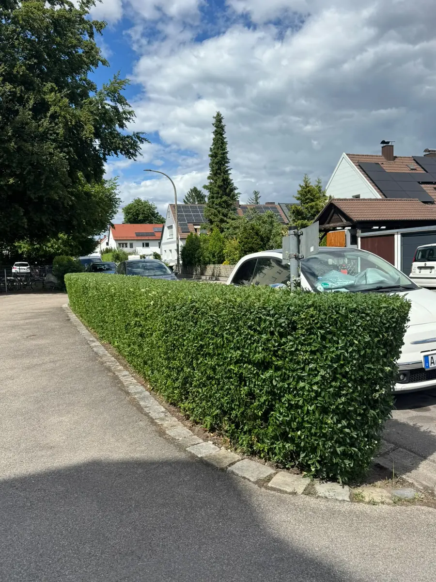 Lange, gerade geschnittene Hecke entlang einer Wohnstraße